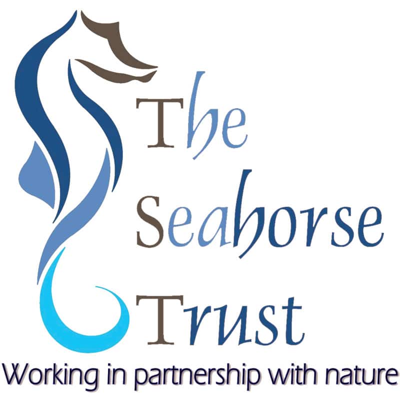 The Seahorse Trust & Salcombe Brewery